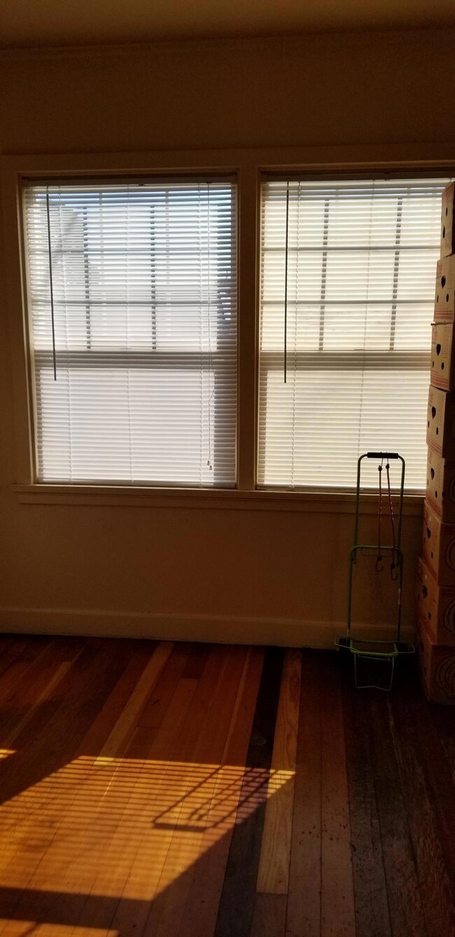Living Room View