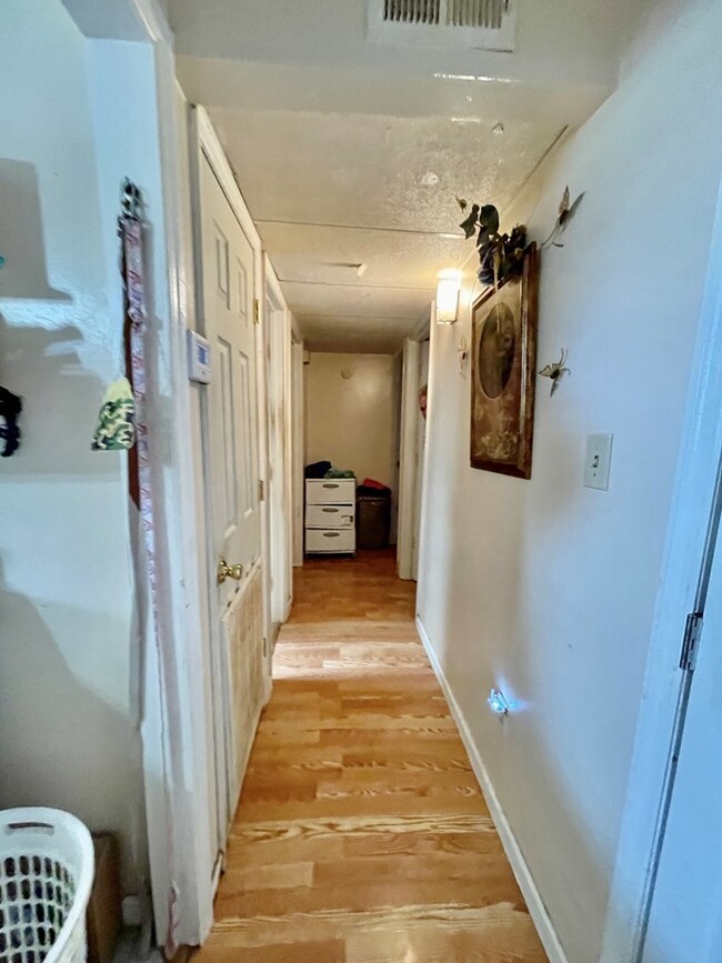 160 N Jackson St, Baconton, GA 31730 - photo 4