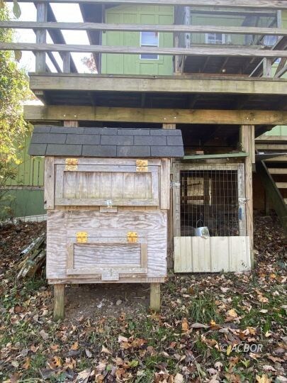 Chicken Coop