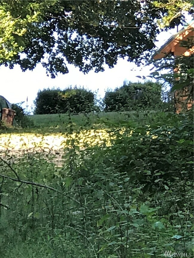 10720 Seaview Dr unit AI, Anderson Island, WA 98303 - photo 2