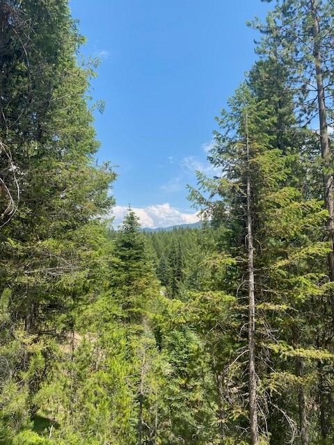 33 Challis Ln unit Lot 5, Cascade, ID 83611 - photo 7