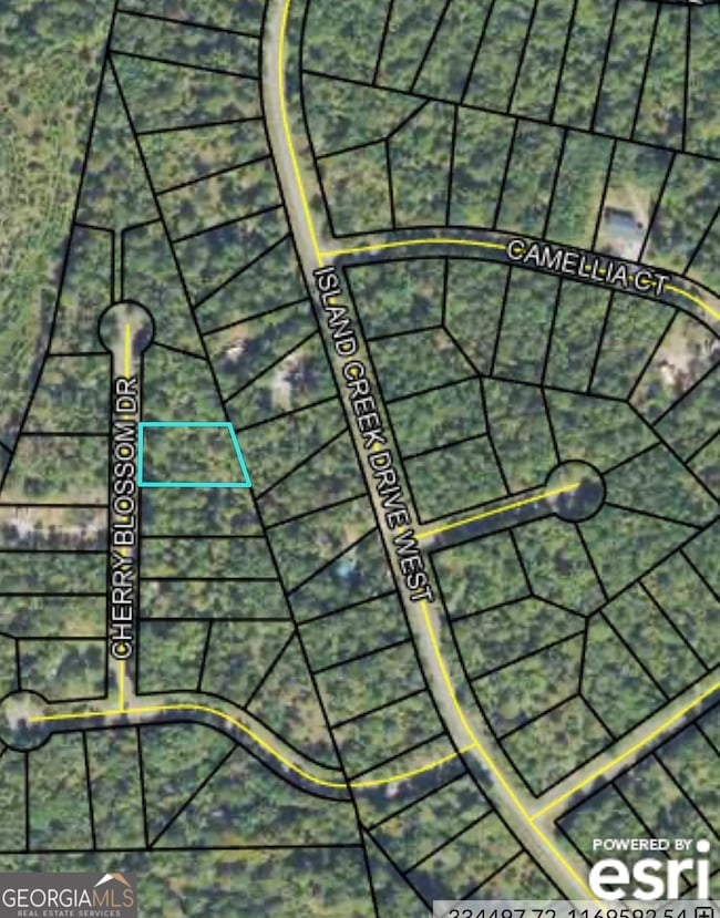 0 NE Cherry Blossom Dr unit 10646074, Sparta, GA 31087 - photo 3