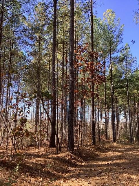 Lewis Ford Road (Lot 8), Brookneal, VA 24528 - photo 5