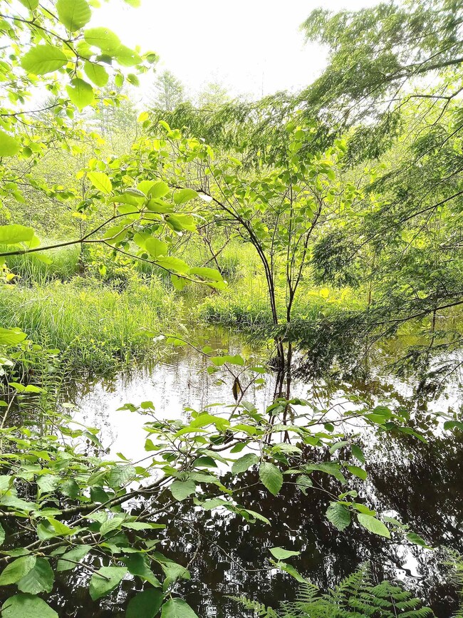 0 Britton Rd unit 5-364-4-L5 4955923, Claremont, NH 03743 - photo 7