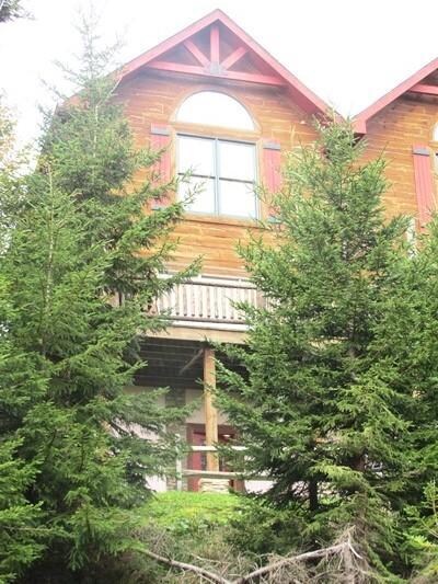 17 Loggers Run unit SOUTH MOUNTAIN 1 SNO, Dunmore, WV 24934 - photo 7