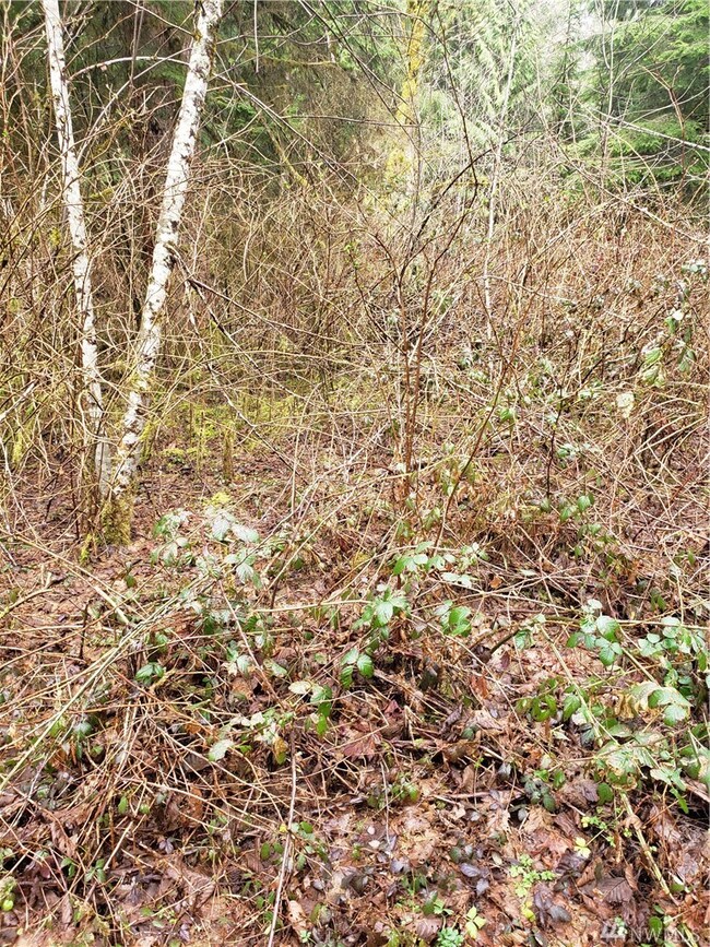 20226 251st St NE, Arlington, WA 98223 - photo 7