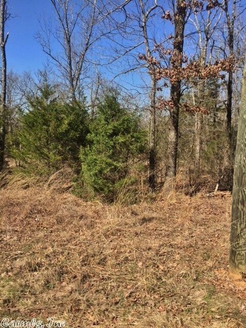 Tract 18/19 Skyhawk Dr, Cane Township, AR 72102 - photo 4