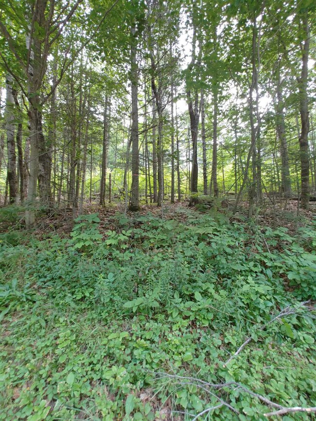 0 U S 302 unit 4873749, East Corinth, VT 05076 - photo 2