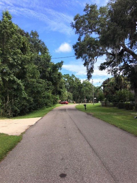 Avant Road a Beautiful Quiet Place to Live