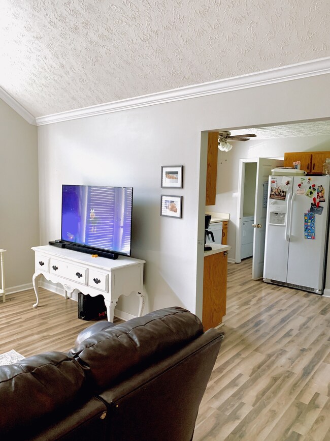 2053 Shawnee Ln, Greenbrier, TN 37073 - photo 4