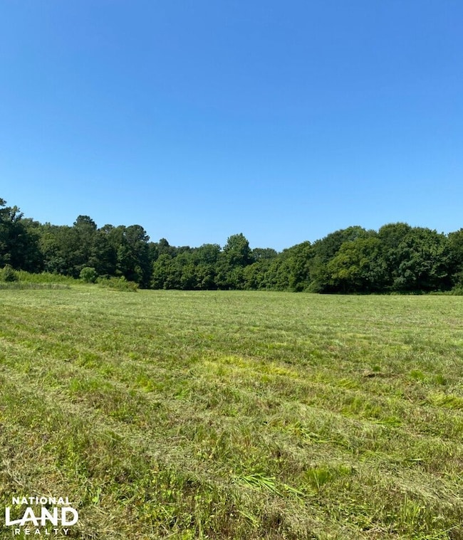 Highway 145, Columbiana, AL 35051 - photo 3