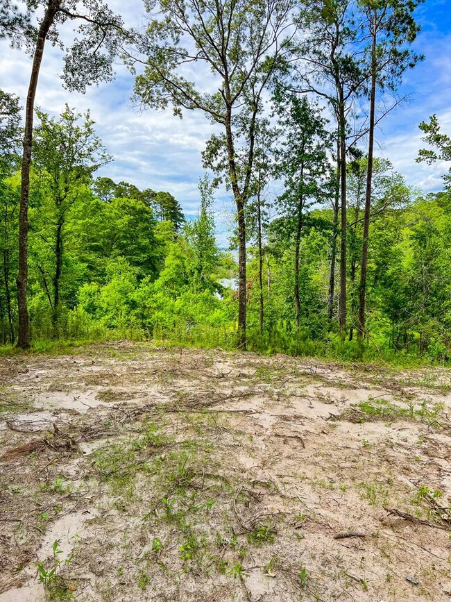 3 A375 tract 2 Moore Farm Rd, Zavalla, TX 75980 - photo 5