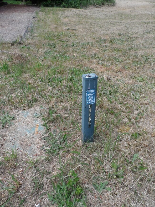 9204 165th Avenue Kp S, Longbranch, WA 98351 - photo 4