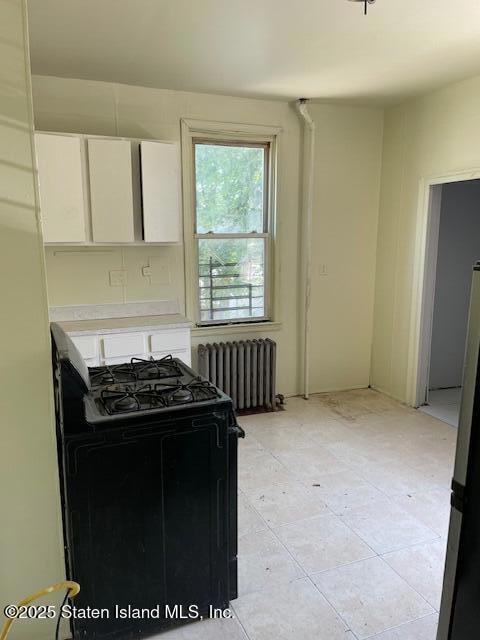 12 Castleton Ave, Staten Island, NY 10301 - photo 4