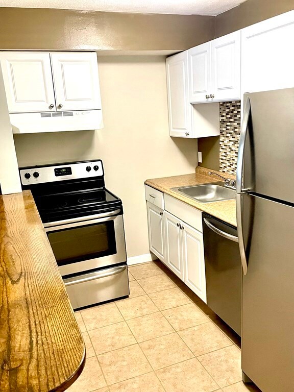 27 E Concord St unit 1, Boston, MA 02118 - photo 3