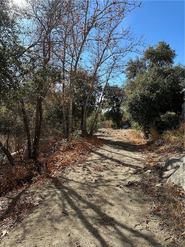 0 Avenida Sierra Rojo Rd unit SW25267240, Sage, CA 92544 - photo 2