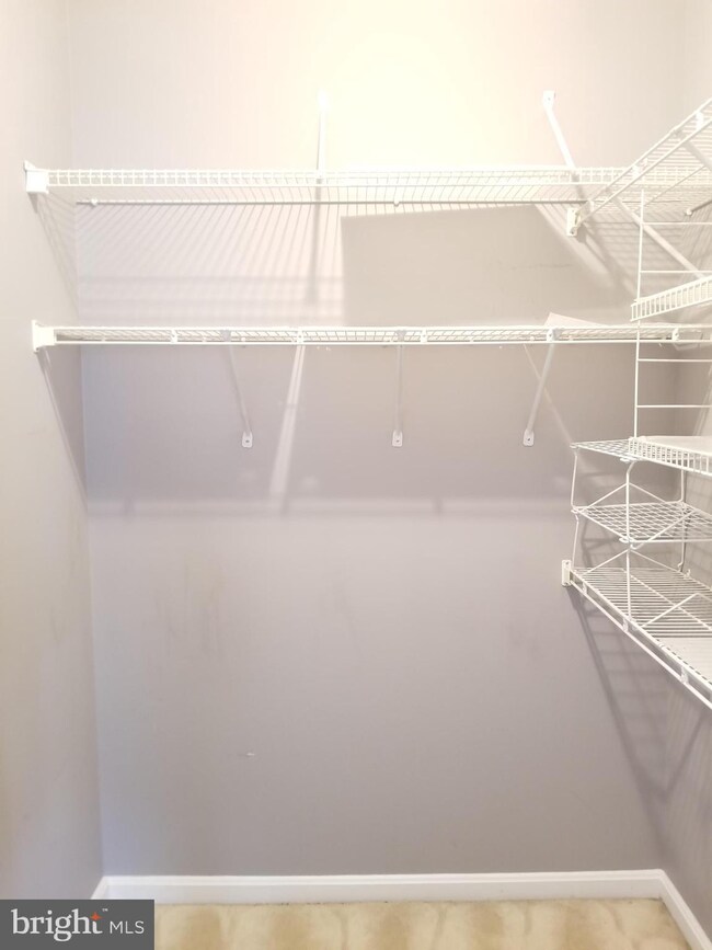 11306 Westbrook Mill Ln unit 204, Fairfax, VA 22030 - photo 5