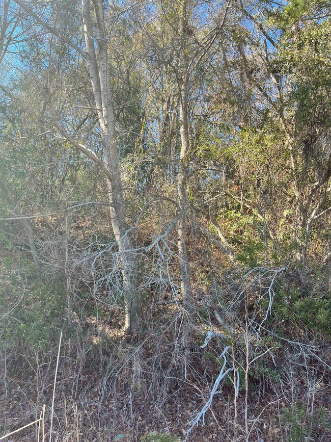 000 Ashley St, Fayetteville, NC 28305 - photo 7