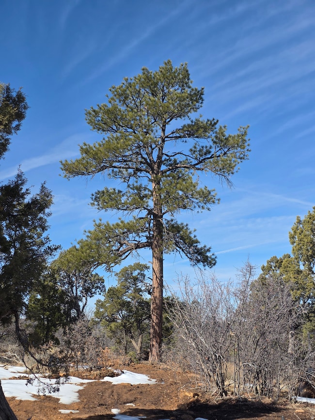 95 Wray Mesa Rd unit 10, La Sal, UT 84530 - photo 3