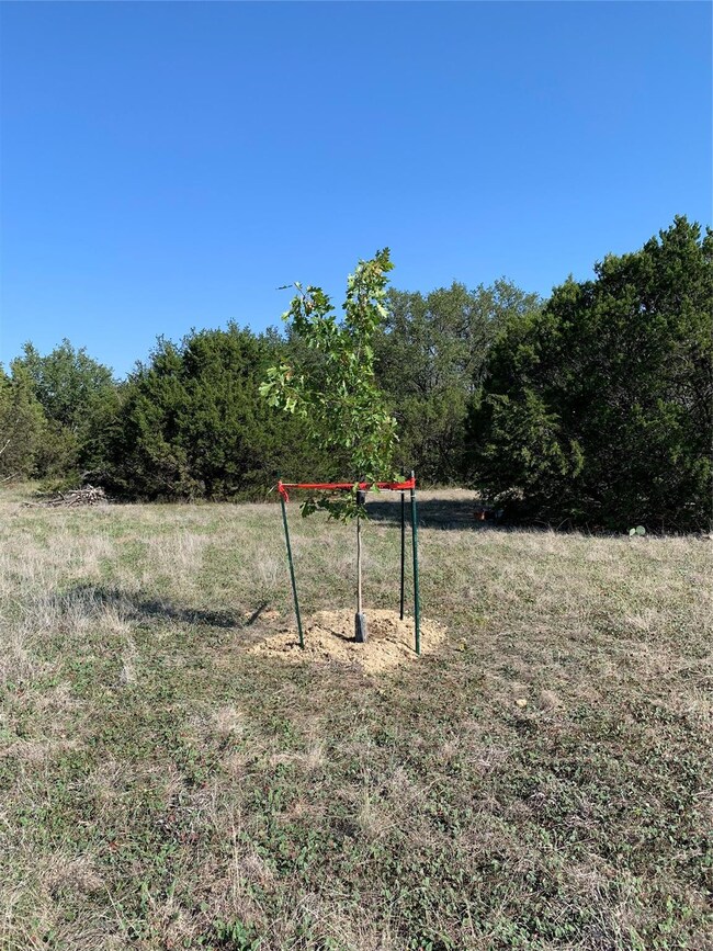 3041 Deer Ct, Weatherford, TX 76085 - photo 6