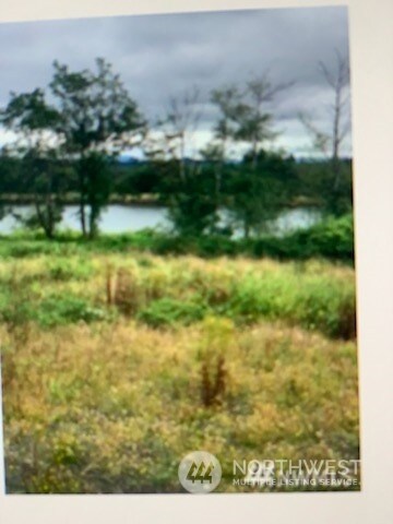 20 Monohon Landing Rd, Raymond, WA 98577 - photo 2