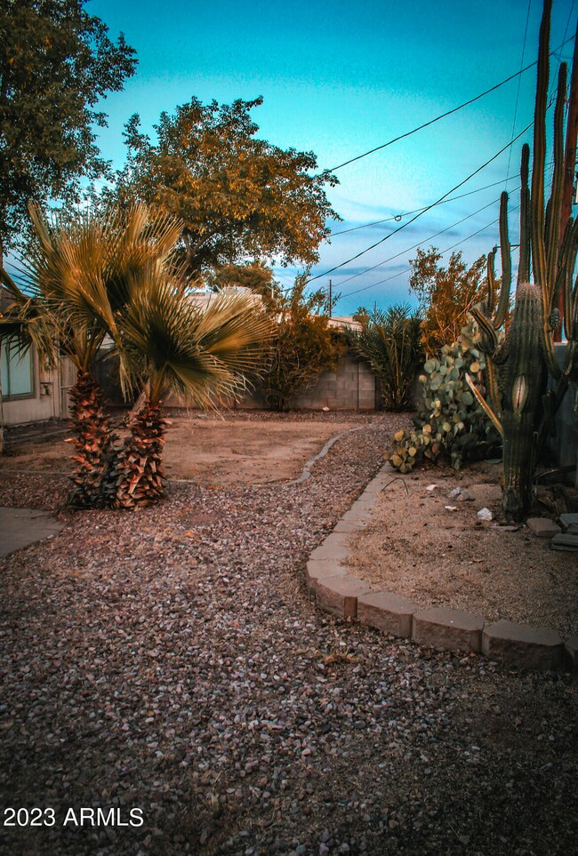 backyard - a