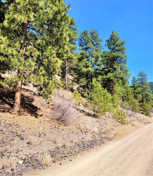 Tbd Black Bear Rd, Helena, MT 59602 - photo 4