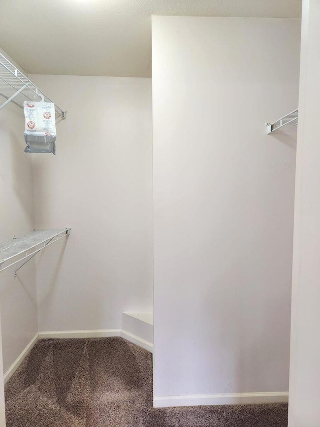 313 Bay Pointe Ln, Columbia, MO 65201 - photo 4