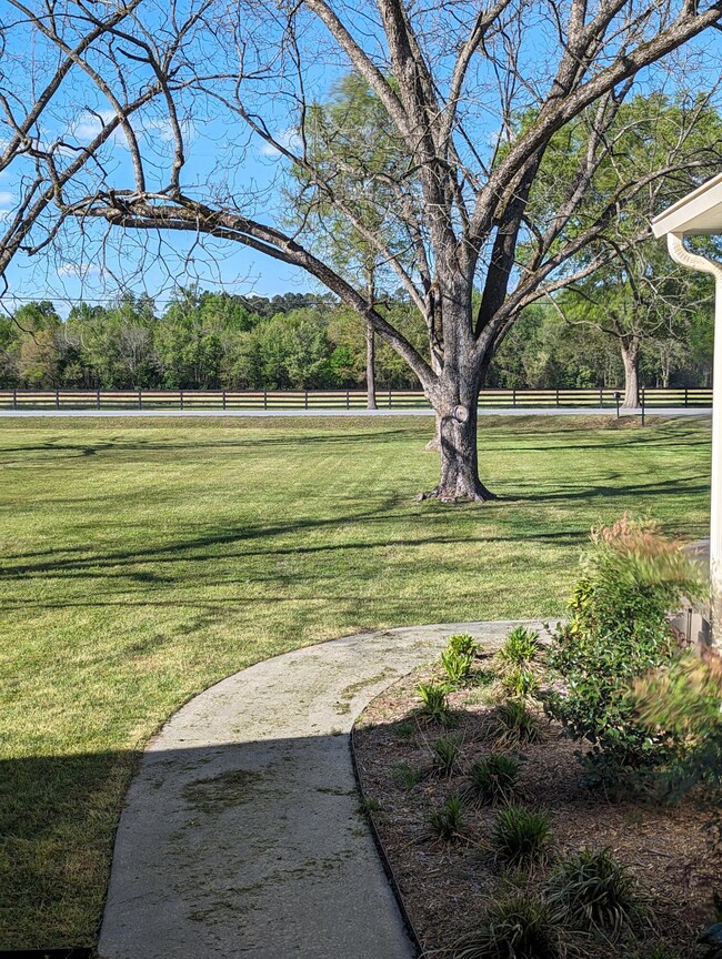 View From Front Door