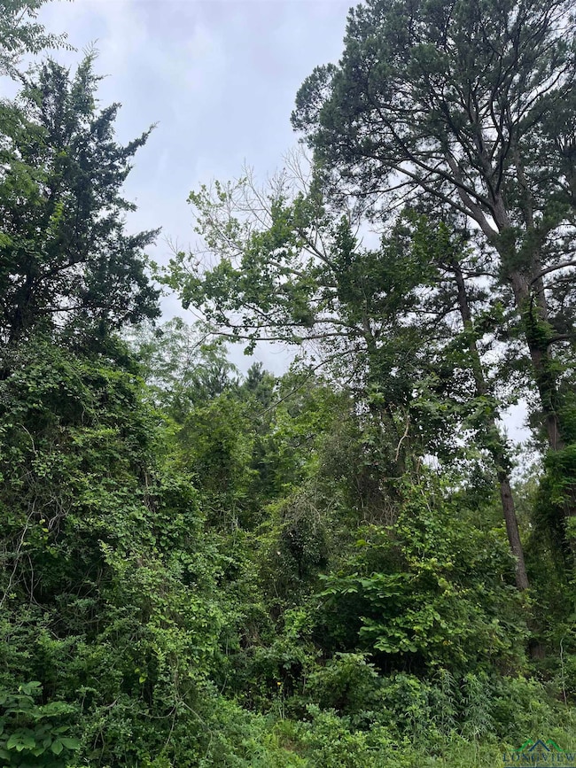 View of woods