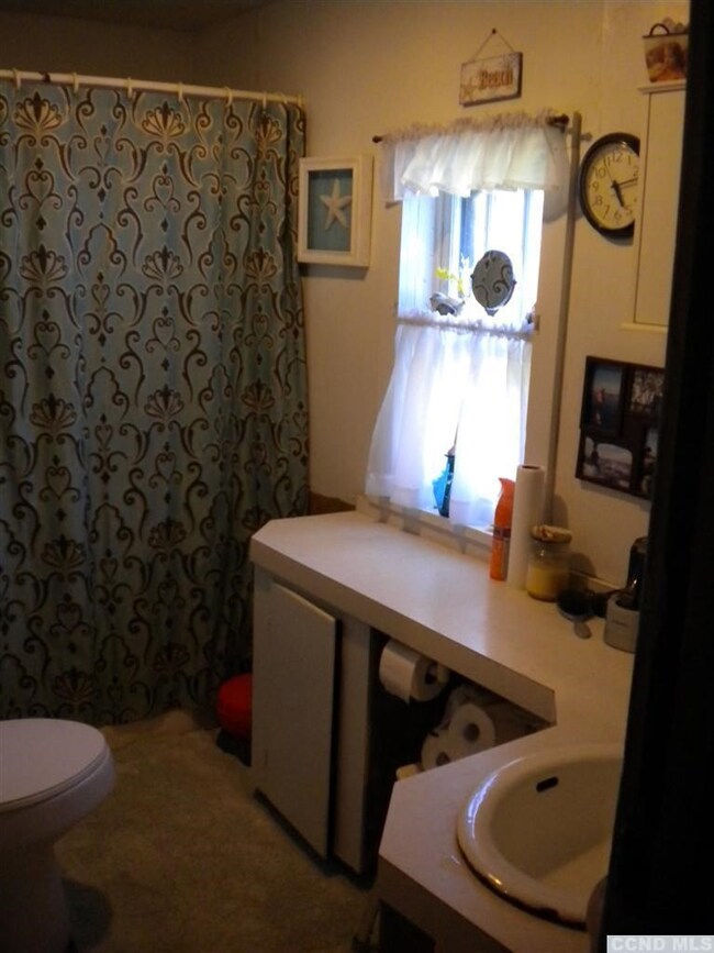 365 Vosenkill Rd, Athens, NY 12015 - photo 7