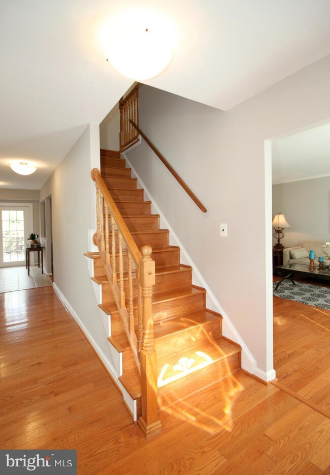 4820 King Solomon Dr, Annandale, VA 22003 - photo 2