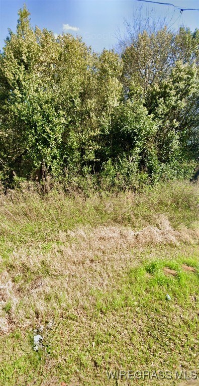 1040 County Road 665, Chancellor, AL 36316 - photo 4