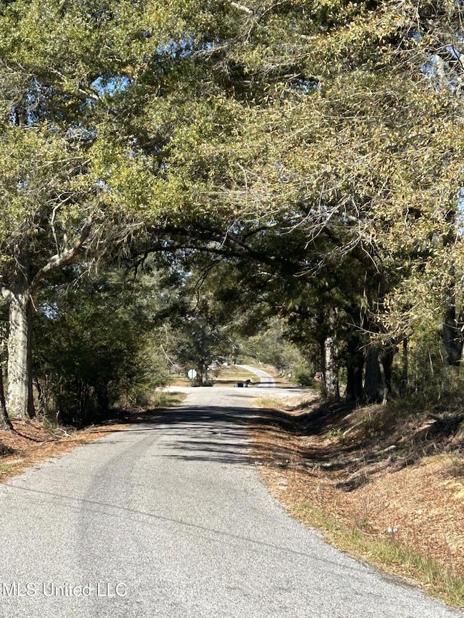 unlisted-address, Mendenhall, MS 39114 - photo 5