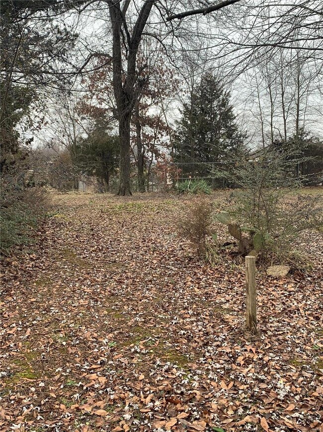 154 County Road 321, Poplar Bluff, MO 63901 - photo 7