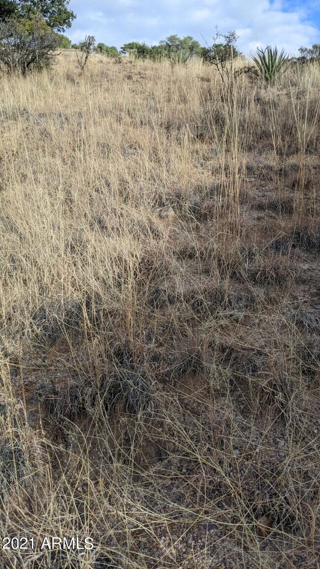 TBD Locklin Ave unit 43, Bisbee, AZ 85603 - photo 3