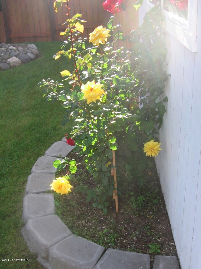 Flower bed