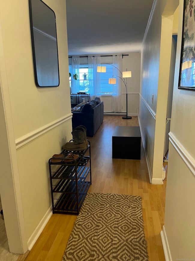 Hallway into the apartment