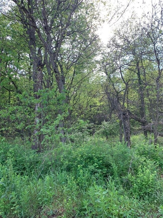 0 Jaybird Rd unit 1184110, Maysville, AR 72747 - photo 7