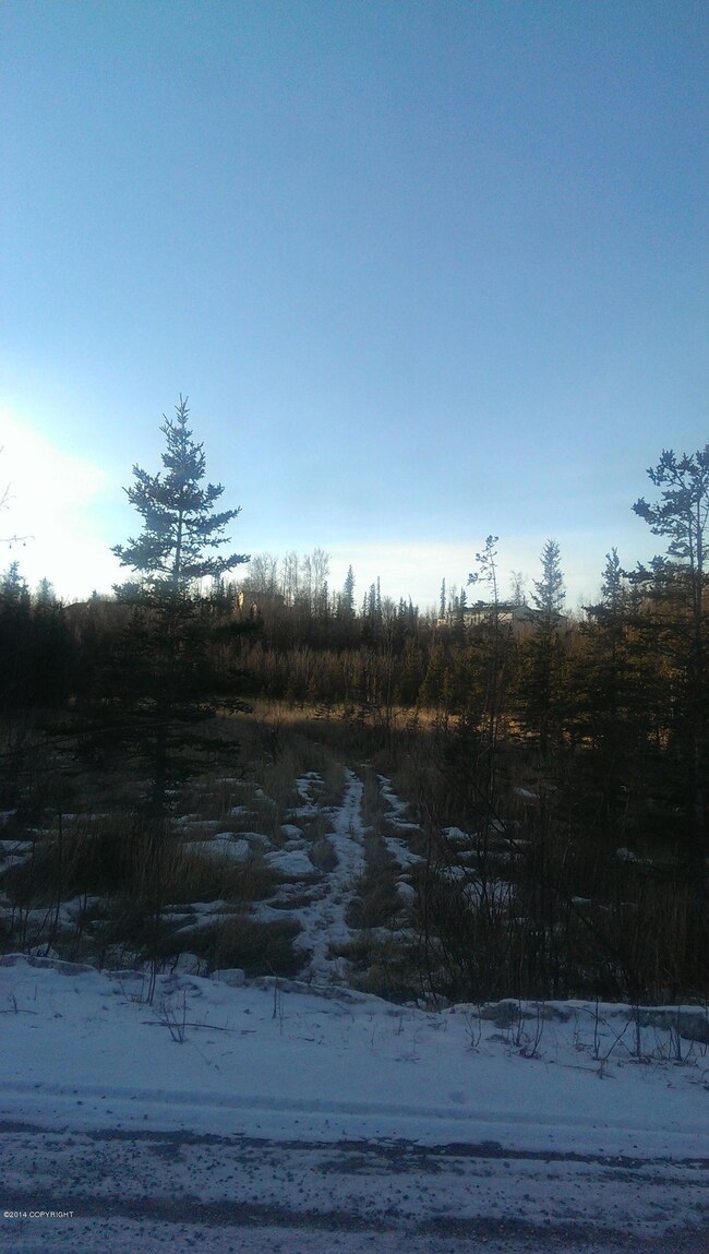 IMAG0605