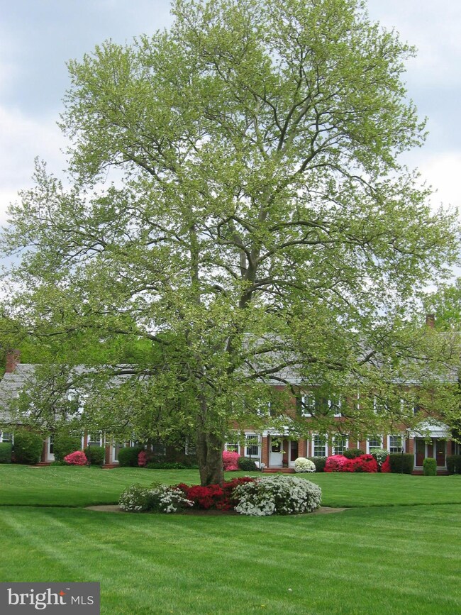 4135 36th St S unit 823, Arlington, VA 22206 - photo 2