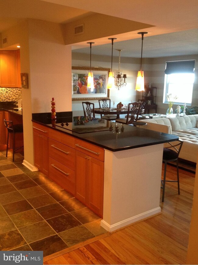 St. Paul at Chase Condominiums unit 1012, Baltimore, MD 21202 - photo 4