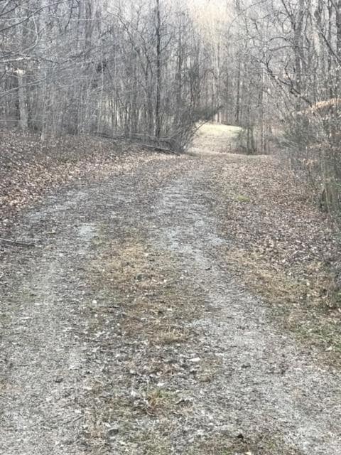 COUNTRY ROAD TO BUILDING SITE