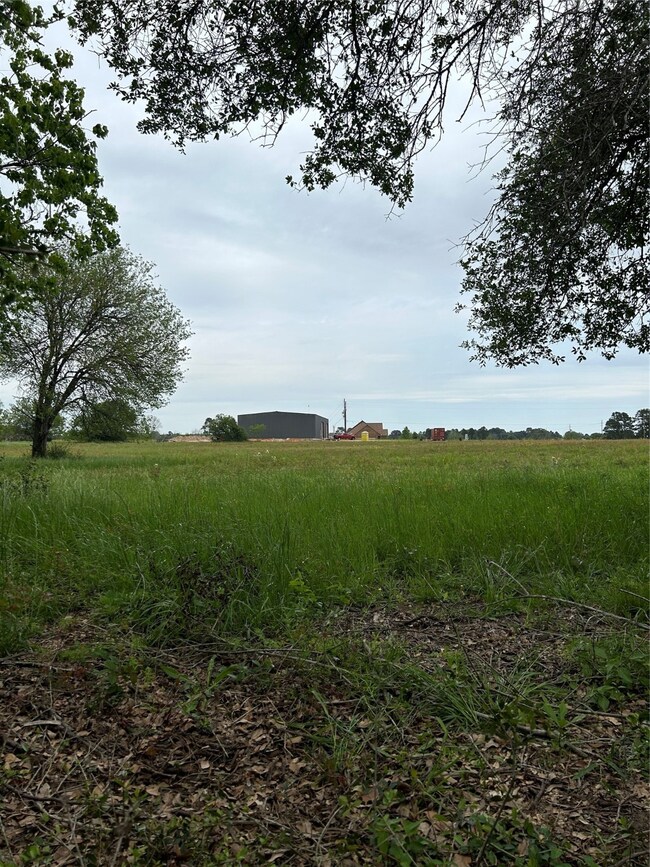 31002 Rochen Rd, Waller, TX 77484 - photo 4