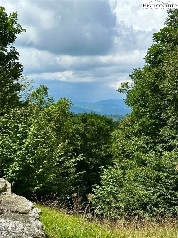 11 Fox Crest Rd, Beech Mountain, NC 28604 - photo 3