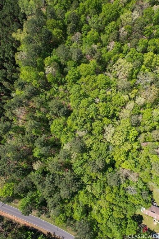 Lot 2 Old Copelan Rd SE, Eatonton, GA 31024 - photo 6