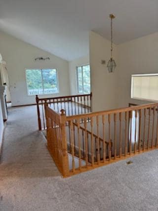 61 Cantal Ct unit 371713, Wheeling, IL 60090 - photo 7