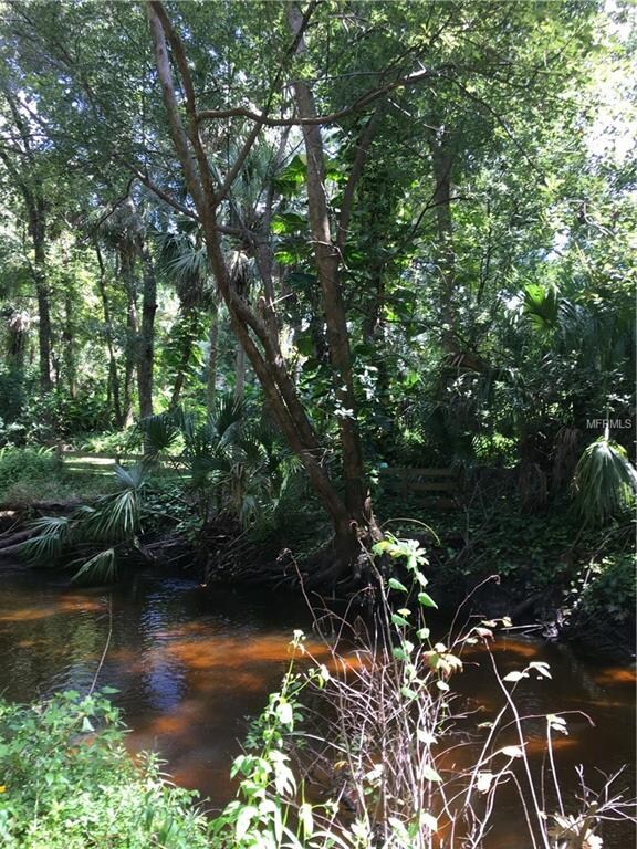 backyard beyond creek