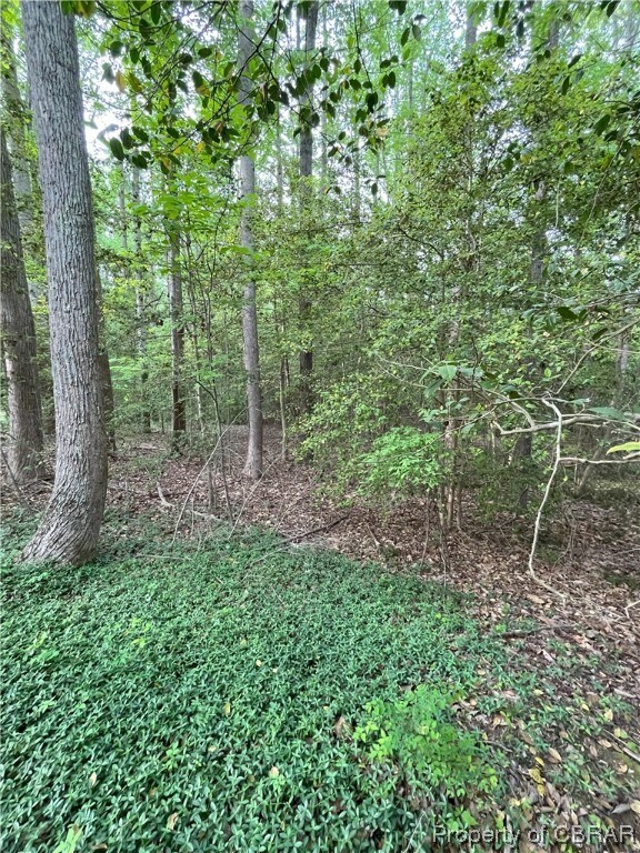 Land view