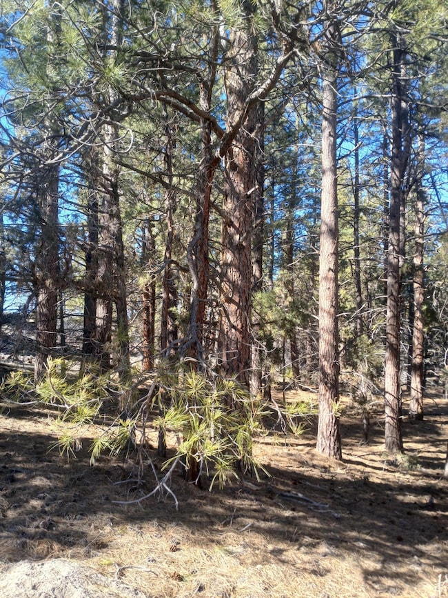 0 Drews Rd unit 220198278, Beatty, OR 97621 - photo 4